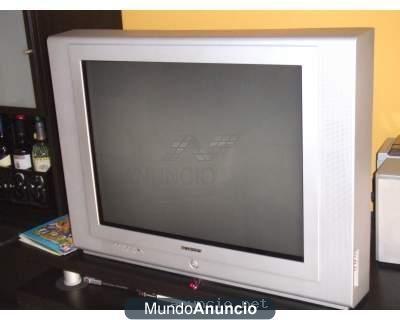 Vendo tv BLUESKY 29\