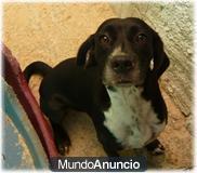 Nufy busca una oportunidad de ser feliz