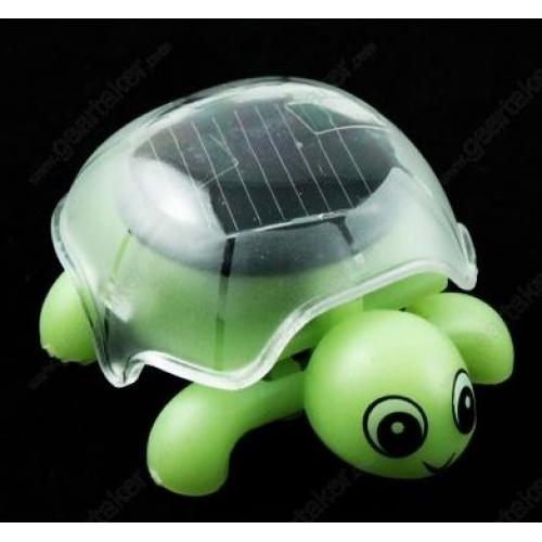 Mini Tortuga solar