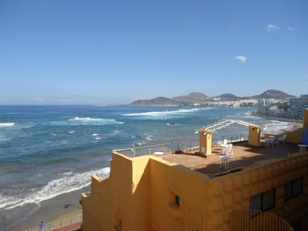 Estudio en Palmas de Gran Canaria(Las)