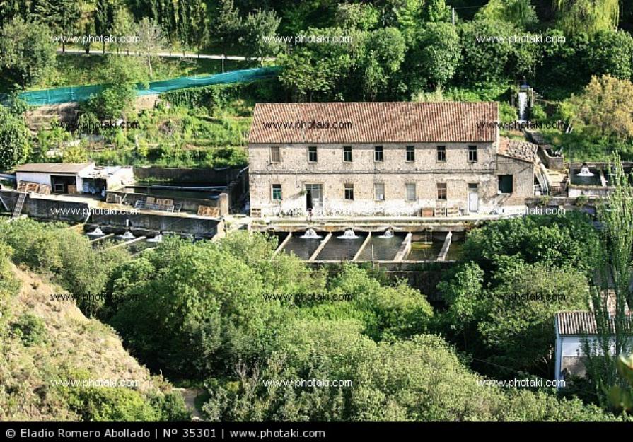 Piscifactoria de truchas cadiz (andalucia)