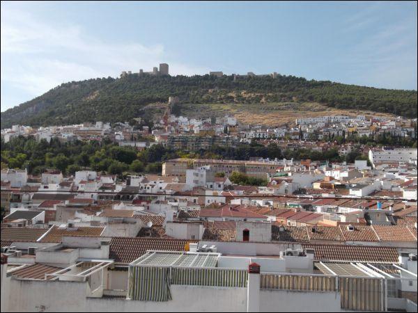 Estudio en Jaén