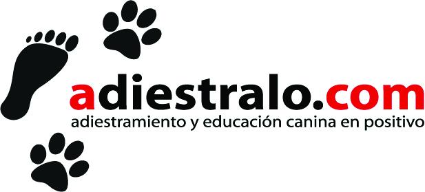 adiestramiento y educacion canina