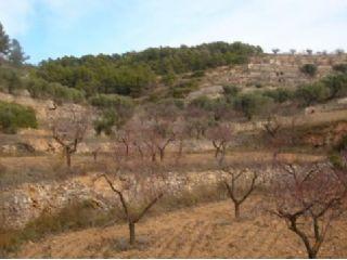 Finca/Casa Rural en venta en Corbera d'Ebre, Tarragona (Costa Dorada)