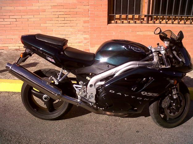 VENDO TRIUMPH DAYTONA CENTENNIAL EDITION 955I EDIC LIM