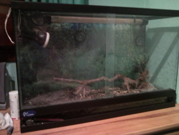 terrario para reptiles completo