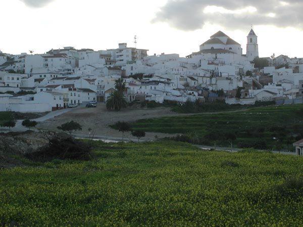 SE VENDE PARCELA. MÁLAGA.