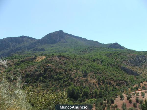 TERRENO RUSTICO EN ARDALES (MALAGA)