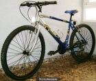 SE VENDE BICI DE MONTAÑA - GLOBE TROTTER - mejor precio | unprecio.es