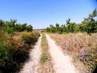 Finca/Casa Rural en venta en Maella, Zaragoza