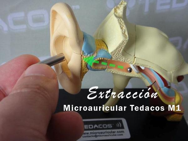 Sistema Comunicación Teléfono Oculto Auricular Invisible Apuntador