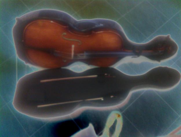 Vendo funda de violoncello