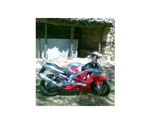 HONDA CBR 600 F