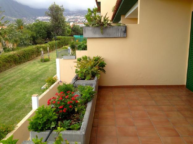 Apartamento en Puerto de la Cruz