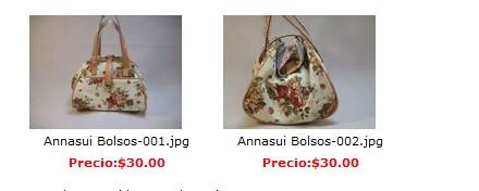 BBC MOCHILA y ANNASUI BOLSOS