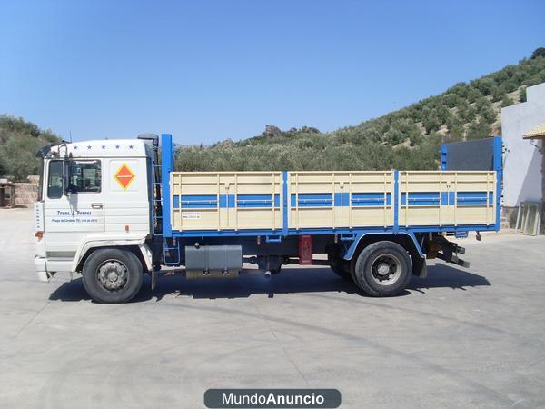 Camión pegaso mider 260