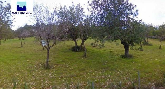 Finca rústica en Bunyola