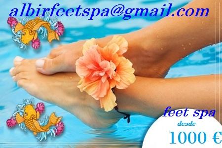 SISTEMAS ICTIOTERAPIA FEET SPAS GARRA RUFA desde 1000 €