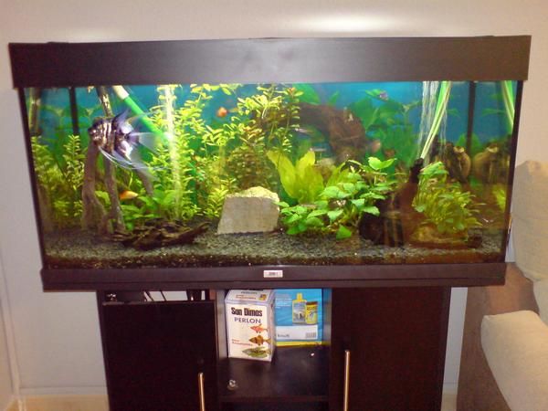 VENDO ACUARIO JUWEL 180L CON TODO.