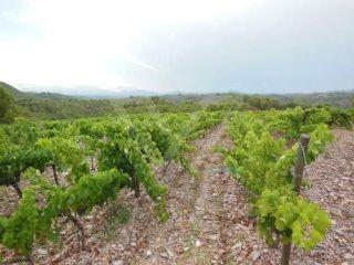 Terreno/Finca Rstica en venta en Bellmunt del Priorat, Tarragona (Costa Dorada)