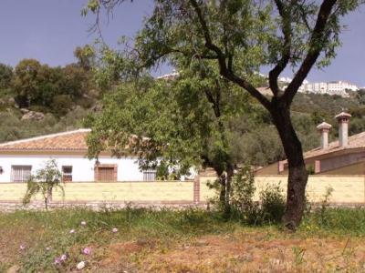 Holiday Villa in Alqueria (Comares)