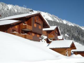 Apartamento en chalet : 2/7 personas - a pie de pistas - les saisies  saboya  rodano alpes  francia