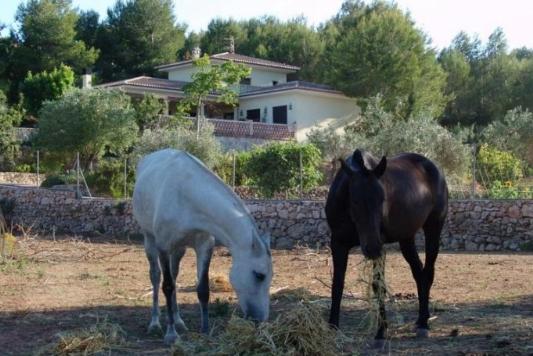 5 Dormitorio Finca En Venta en Jávea, Alicante