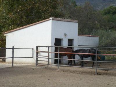 Finca/Casa Rural en venta en Ontinyent, Valencia (Costa Valencia)