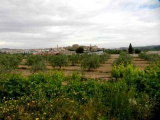 Finca/Casa Rural en venta en Maella, Zaragoza