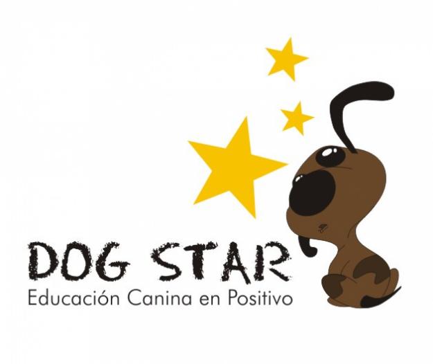 Adiestramiento canino en grupo