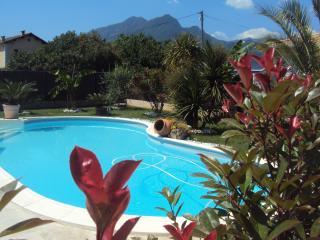 Estudio : 2/2 personas - piscina - santa-lucia-di-moriani  alta corcega  corcega  francia