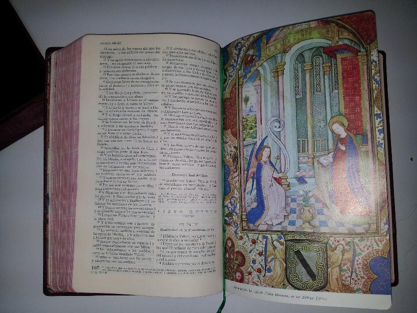 vendo sagrada biblia