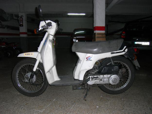 Honda Scoopy Sh75