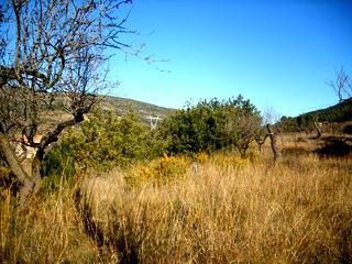 in Atzeneta Del Maestrat,  Catalonia   - 40000  EUR