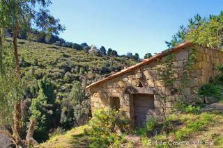 Bungalow : 2/3 personas - ajaccio  corcega del sur  corcega  francia