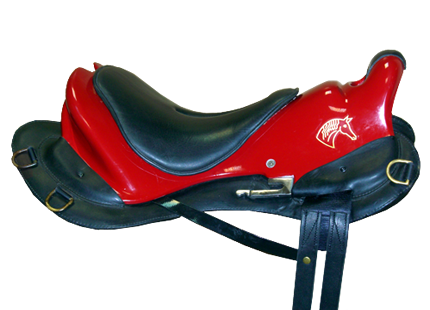 MONTURA EQUESTRE TOP TEN