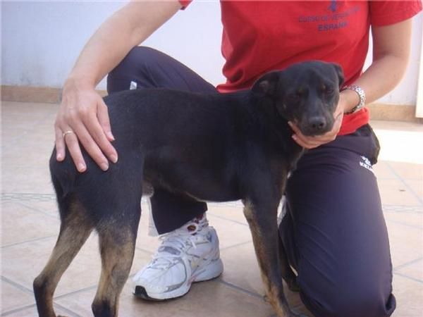 PATITAS UN DULCE NEGRITO