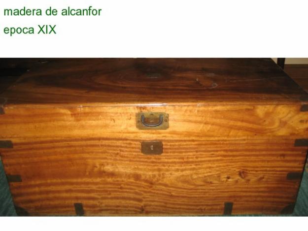 baul de madera de alcanfor de epoca XIX