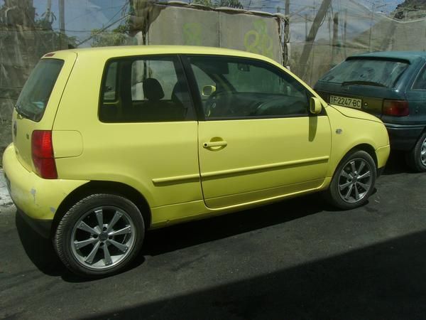 se vende w lupo