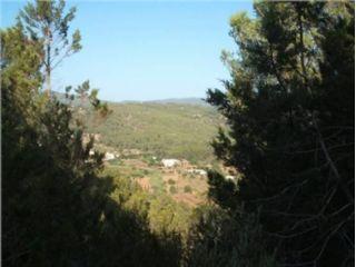 Terreno/Finca Rstica en venta en San Miguel/Sant Miquel de Balansat, Ibiza (Balearic Islands)