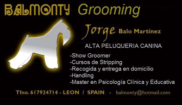 Peluqueria canina