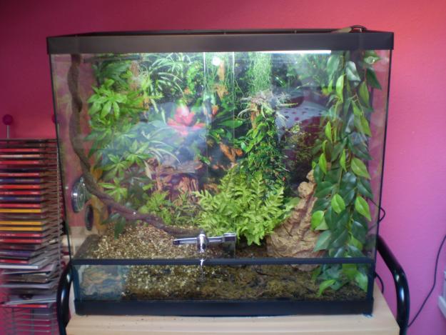 VENDO TERRARIO DECORADO