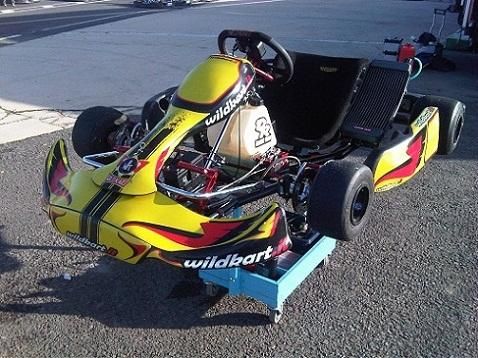 KART WILDKART FITHER II 2009 CON TM K9B