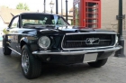 Ford Mustang V8 1967 4.7 l coupe - mejor precio | unprecio.es