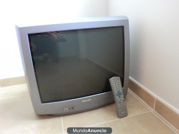 Televisor Philips 21 pulgada