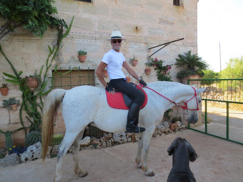 Adiestramiento  canino José Arce, Mallorca