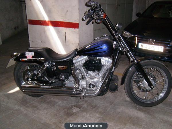 harley davidson dina