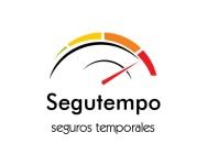 Seguro de coche temporal