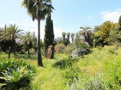 Terreno se vende en Marbella, Costa del Sol