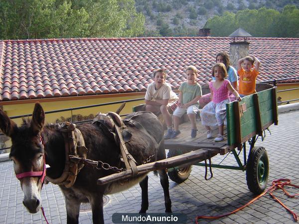 vendo burro y carro